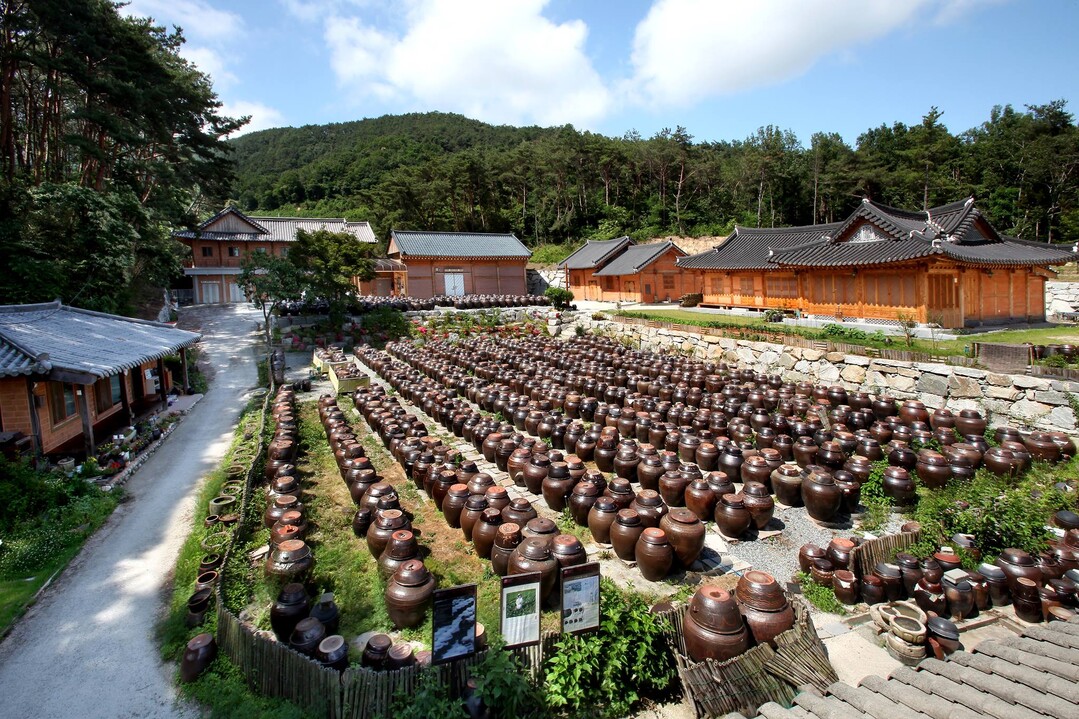 유네스코가 인정한 한국의 장(醬),이제는 이름을 바로 세울 때